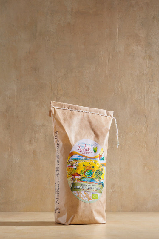 Rice - Semi milled - Chinese Originario