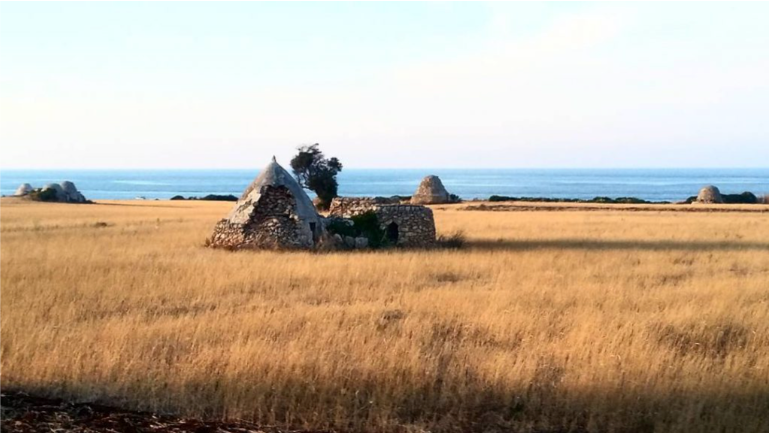 Arte Agricola