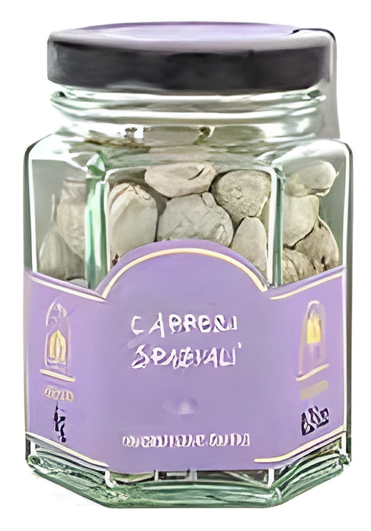 Spaziali Freeze-Dried Capers – Small Jar