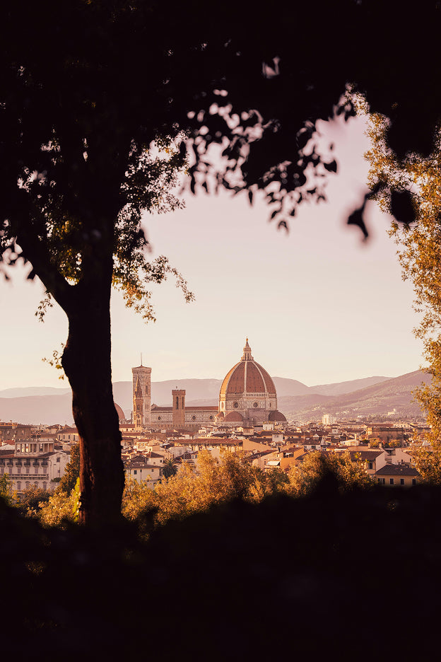 The Duomo of Florence seen through Tuscan trees at golden hour